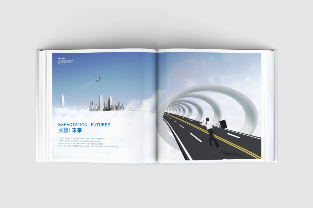 苏家屯区画册设计